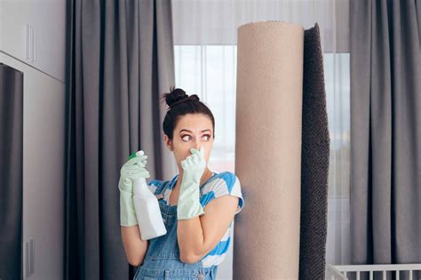 How To Get Rid Of Home Odors Lake City Restoration Warsaw In