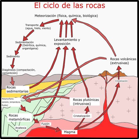 El Ciclo De Las Rocas Etapas Importancia Y Esquemas