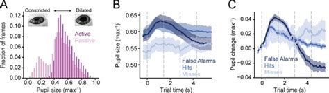 Figures And Data In Dissociation Of Task Engagement And Arousal Effects