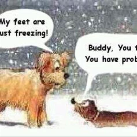 Pin By Tamra Searcey On Dachshund Funnies Funny Christmas Pictures