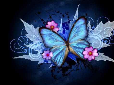 Blue Butterfly Hd Desktop Wallpaper Widescreen High Definition
