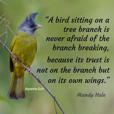 Https://tommynaija.com/quote/a Bird Sitting On A Branch Quote