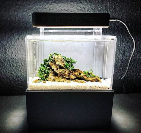Mini Complete Tank The Viral Worlds Smallest All In One Aquarium Tank