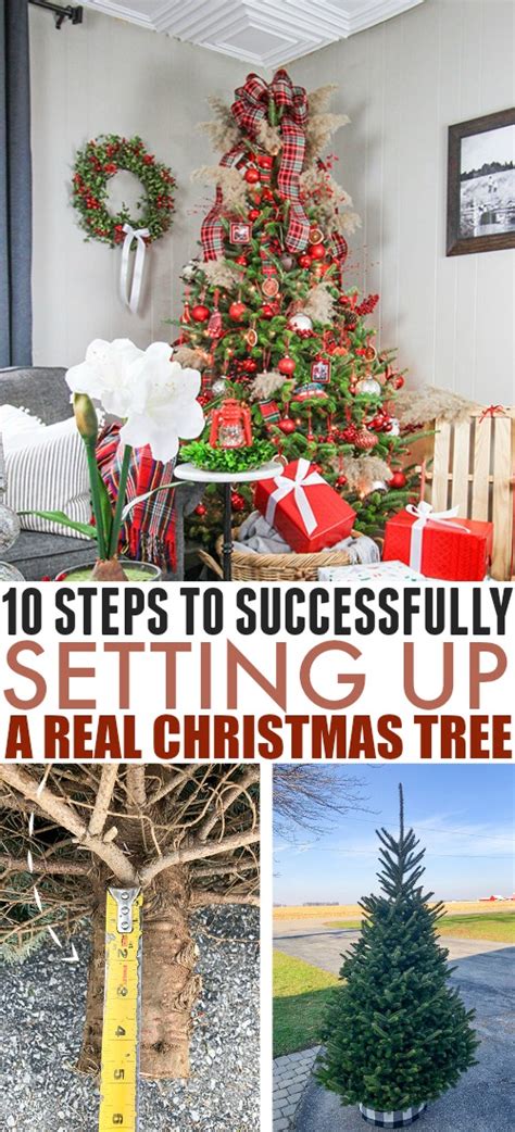 10 Tips To Make Your Real Christmas Tree A Success The Creek Line House