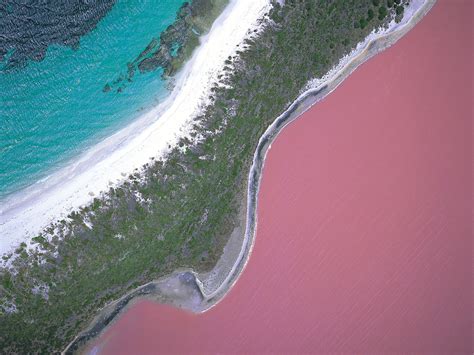 Lake Hillier The Story Behind Australias Pink Lake Condé Nast Traveler