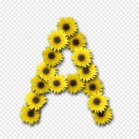 Alphabet Sunflower Images Free Vectors Pngs Mockups B