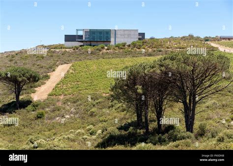 The Waterkloof Wine Estate In Somerset West Western Cape South Africa