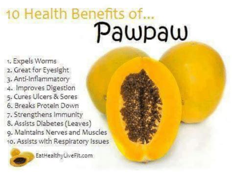 10 Health Benefits Of Pawpaw 1 Expels Worms 2 Great For Eyesight 3 Anti
