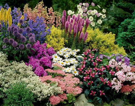 Create An Easy Care Perennial Border On A Budget Flower Garden Design
