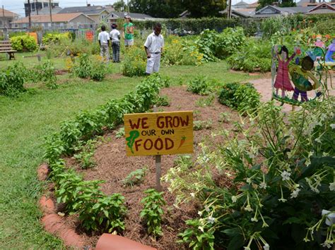 Edible Schoolyard New Orleans Spreads Its Roots Across The City