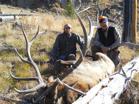 Wyoming Elk Hunting Outfitters Guided Trips Yellowstone Outfitters