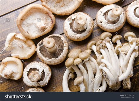 Different Types Edible Mushrooms On Wooden Stock Photo 175381796 Shutterstock