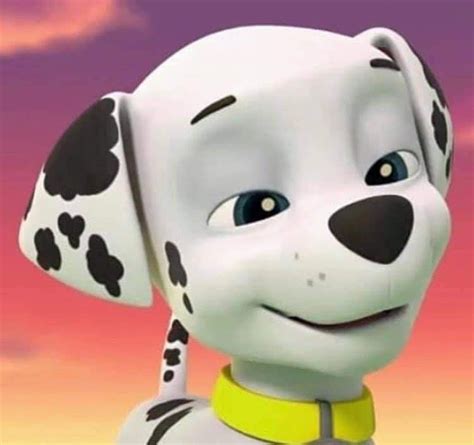 Paw Patrol Pups Skye Nickelodeon Olaf The Snowman Cartoon Art Rocky Disney Characters