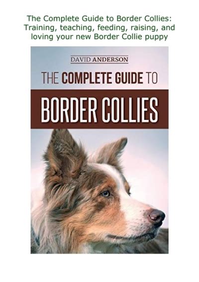 Pdf⚡️read ️online The Complete Guide To Border Collies Training