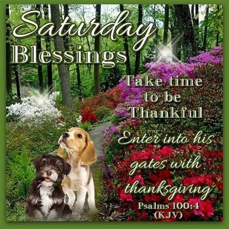 Saturday Blessings Pictures Photos And Images For Facebook Tumblr