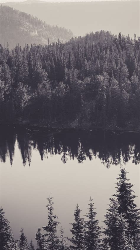 4K Dark Wallpaper