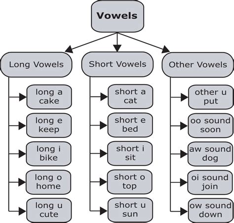 You can practice various vowel and consonant sounds by pronouncing the words. Learn How to Pronounce the 15 Vowel Sounds of American ...