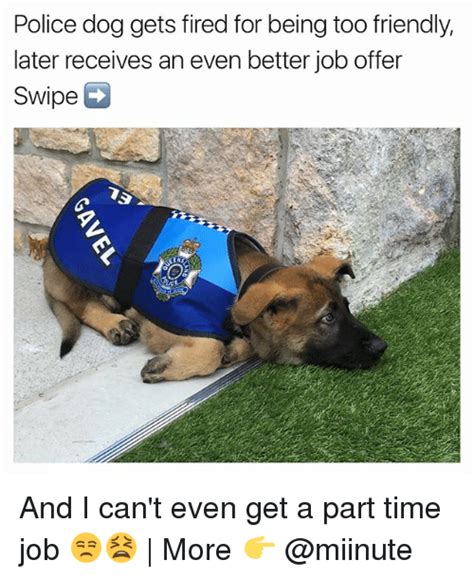 Police Dog Gets Fired For Being Too Friendly Later Receives An Even