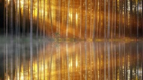 3840x2400 Trees Lakes Sunbeams 4k Hd 4k Wallpapers Images Backgrounds