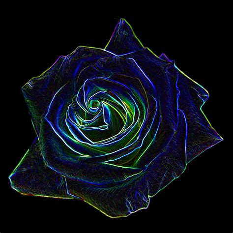 Neon Rose 5 Digital Art By Ernie Echols