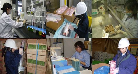 Supportive care fluid replacement, monitoring for changes or improvement, and oral rehydration solution (ors) medications diarrhoea. An interim report of Inspection results of the imported ...