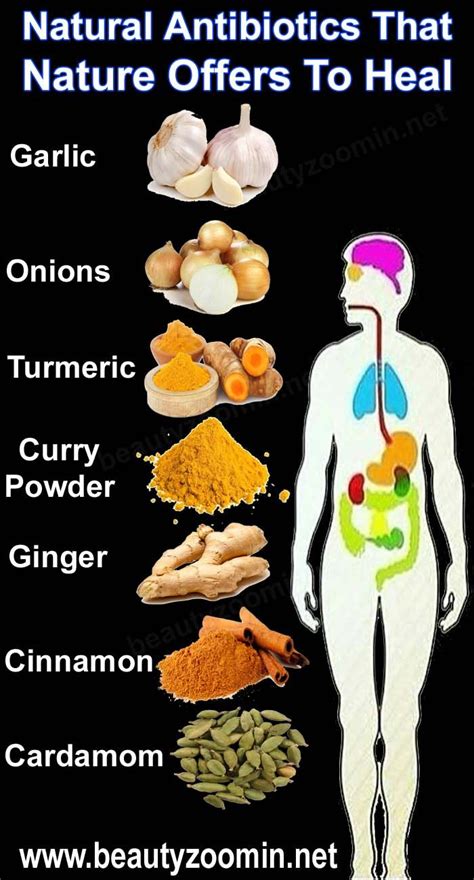 Natural Antibiotics That Nature Offers To Heal Garlic Onions Turmeric