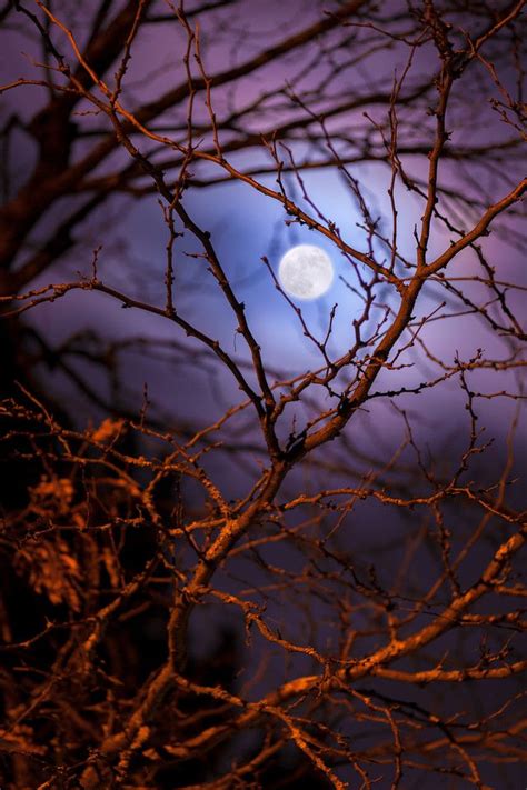 1 Tumblr Gute Nacht Mond Wunderschöner Mond Mond Bilder