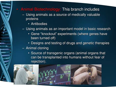 Ppt What Is Biotechnology Powerpoint Presentation Free Download
