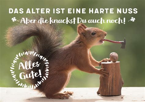 Weitere ideen zu bilder, lustige bilder, lustig. Postkarte A6 +++ LUSTIG +++ DAS ALTER IST EINE HARTE NUSS ...