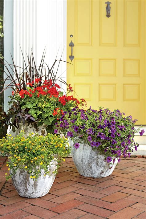 30 Colorful Spring Container Gardens Container Gardening Heat
