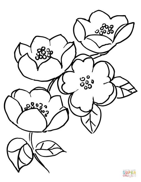 Helps with problem solving and organizational skills. Cherry Blossom Flower Drawing at GetDrawings | Free download