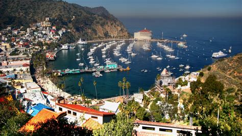 Hotéis Ilha De Santa Catalina Compare Hotéis Em Ilha De Santa Catalina