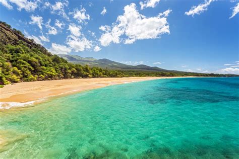 The 5 Best Maui Beaches Hawaii Magazine