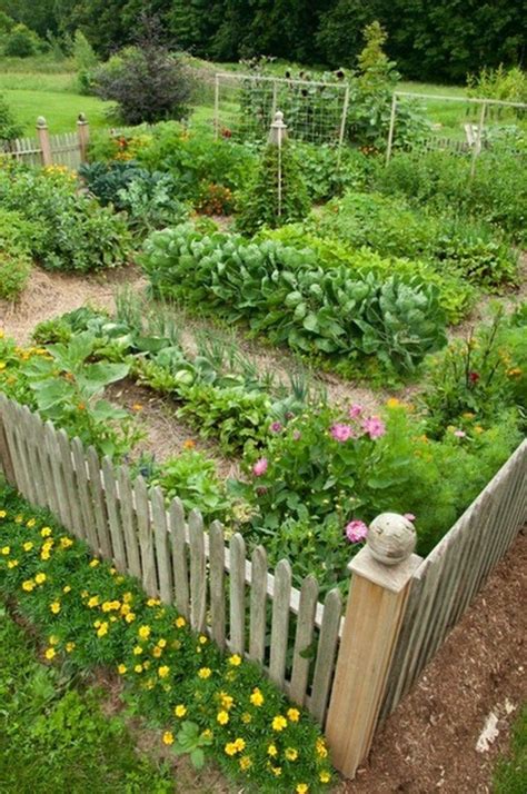 Amazing Ideas For Growing A Successful Vegetable Garden 27 Decomagz