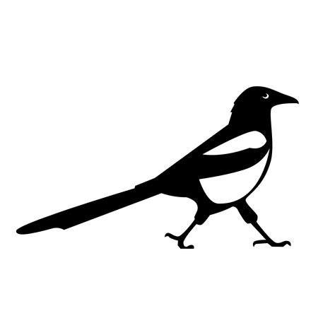 Magpie Svg Black Bird Vector File Illustration Sticker Etsy