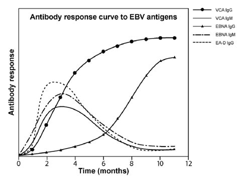 Schematic Presentation Of Antibody Responses Against Ebv Antigen