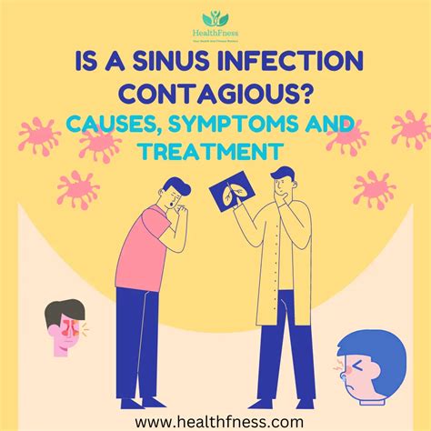 Is A Sinus Infection Contagious The Answer May Surprise You Healthfness