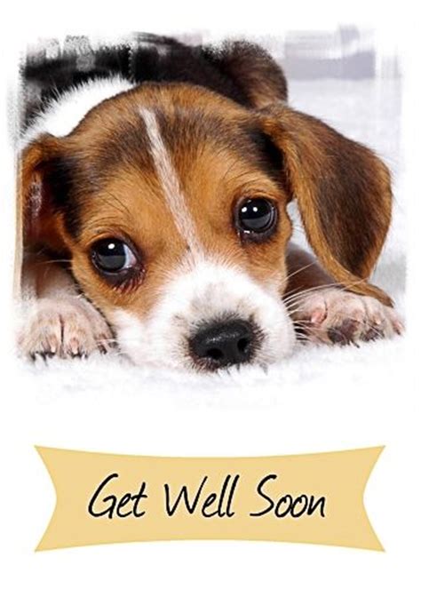 15 best get well wishes images on get well
