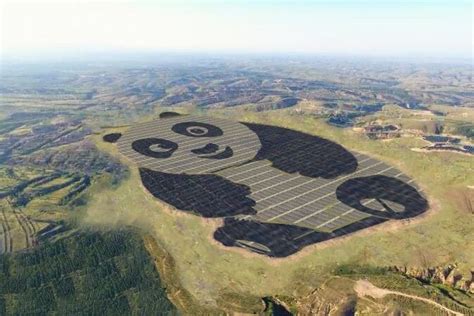 China Builds Panda Shaped Solar Farms To Promote Green Energy To Youth