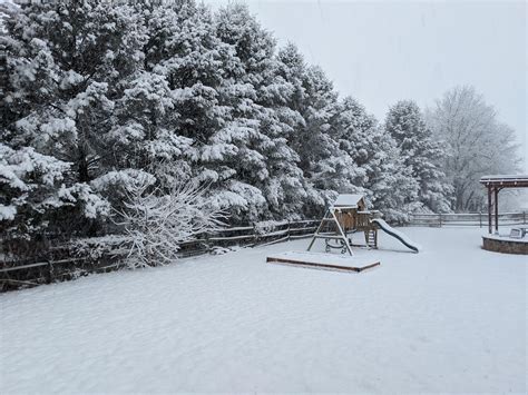 Snowy Backyard Taken Today In Pennsylvania Rpics