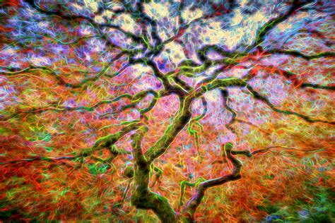 Branching Out In Autumn Neon Photograph By David Gn