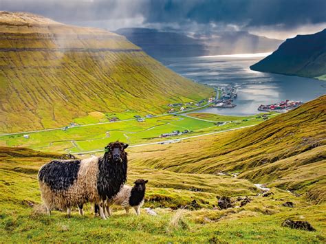 Land Of The Faroes Jewish News
