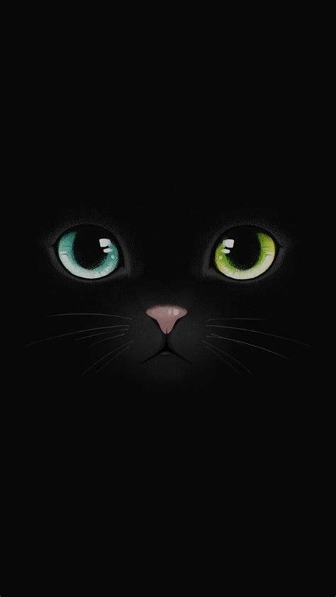 Background Black And Cat Afbeelding Fondos De Gato Fondos De