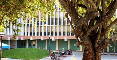 We advocate for at risk local shelter pets who need more exposure to find a loving home. Jack Holland Student Success Center | San Jose State ...