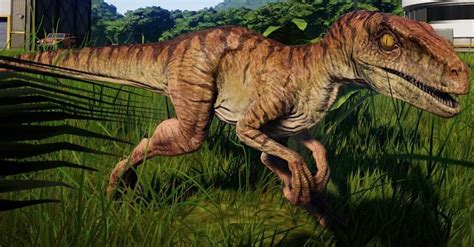 My Favorite Velociraptor Skin Please Jurassicworldevolution Put This And Jp3 S
