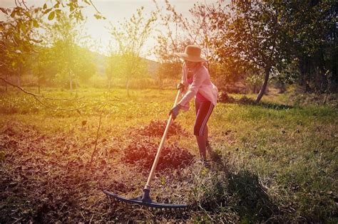 Premium Photo Woman With A Rake Cleaning Below Walnut Trees In The
