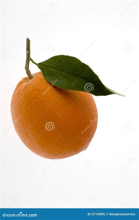 Orange Stock Image Image Of Ingredients Life Green 5714095