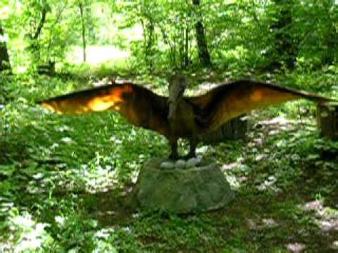 Cearadactylus is a genus of large anhanguerid pterodactyloid pterosaur from the romualdo formation of brazil, south america. Dinopark Zator - Cearadactylus - YouTube