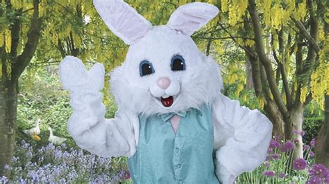 free easter bunny photos in league city cw39 houston