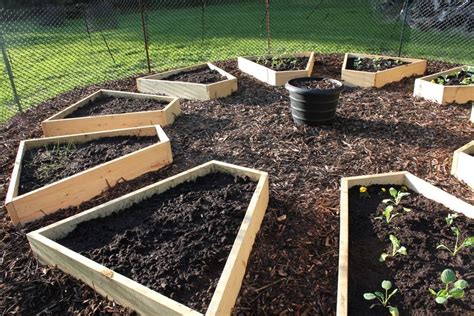 Important warning about solar observations. Not your typical rectangular raised beds. Like this idea! | Raised garden, Veggie garden ...